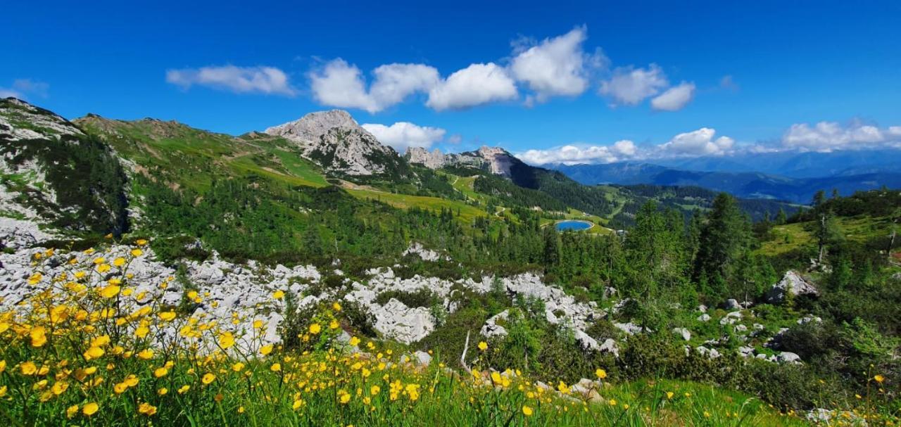Apartment Almhaus Nassfeld Sonnenalpe Nassfeld